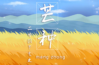 在芒種這個節(jié)氣里我們要充實自己，迎接未來的挑戰(zhàn)